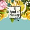 Soul of Nature